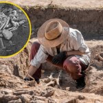 W tym europejskim kraju ludzie jedli psy. Odkryli kości sprzed 2500 lat