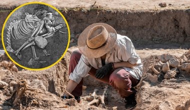 W tym europejskim kraju ludzie jedli psy. Odkryli kości sprzed 2500 lat