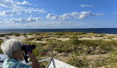 W tym miejscu w Gdańsku możesz spotkać foki. Mało znana, lecz piękna plaża