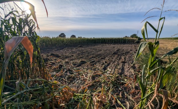 W tym miejscu w Osinach spadł dron wojskowy