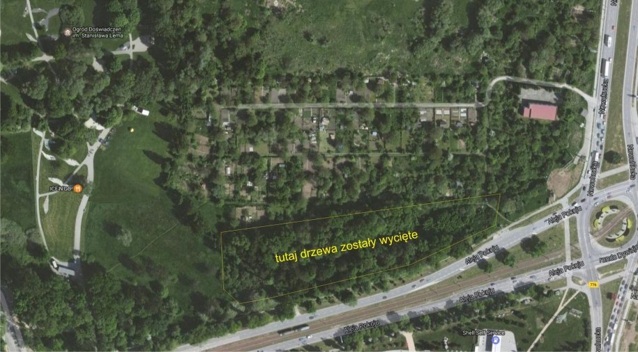 W tym miejscu wycina się drzewa /RMF MAXX