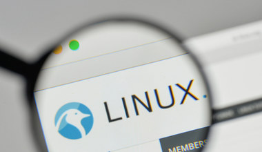 W tym miesiącu Linux kończy 30 lat 
