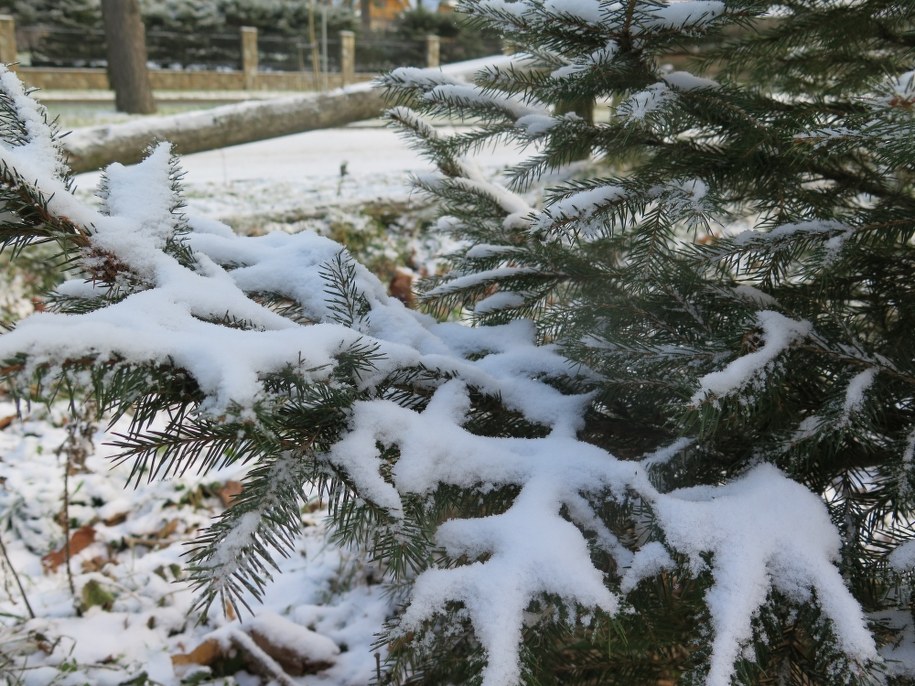 W tym roku astronomiczna zima rozpocznie się dokładnie o godz. 23.23 w piątek 21 grudnia /Maciej Pałahicki /RMF FM