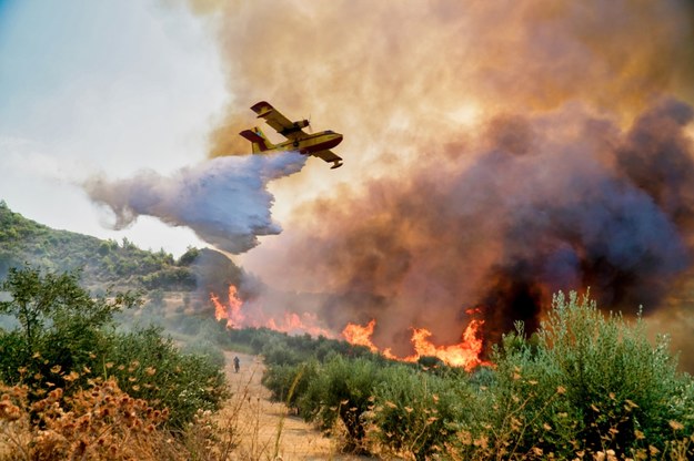 W tym roku Grecja zmagała się z ekstremalnymi pożarami /Shutterstock