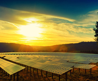 W tym roku świat wyda więcej na energię słoneczną niż na ropę. Po raz pierwszy w historii