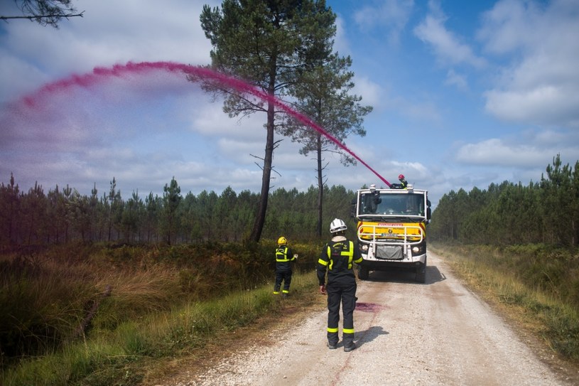 W tym roku w Europie spłonęło już 450 tys. hektarów ziemi. To ponad trzy razy więcej niż średnia w ostatnich latach /Bloomberg /Getty Images