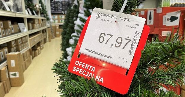W tym roku większość Polaków kupi sztuczną choinkę /MondayNews