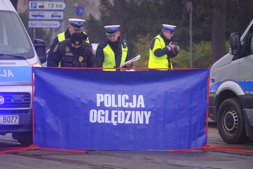 W tym roku zginęło już ponad 160 pieszych /Grzegorz Olkowski /East News