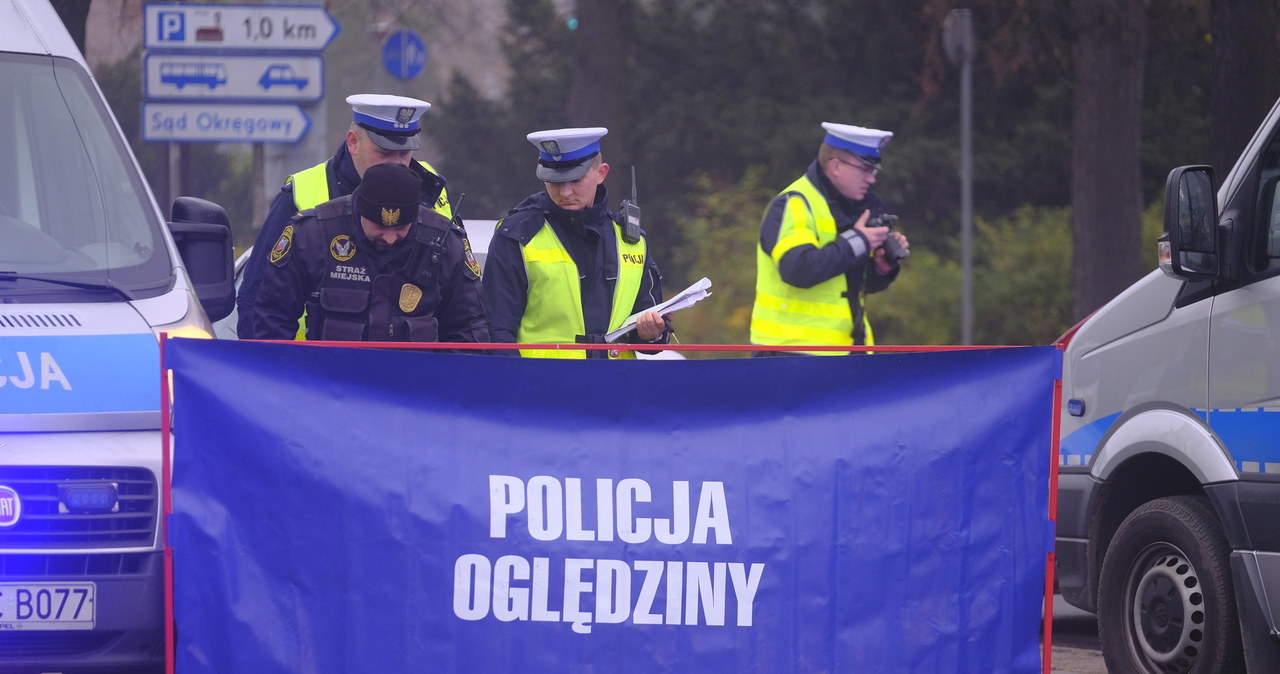 W tym roku zginęło już ponad 160 pieszych /Grzegorz Olkowski /East News