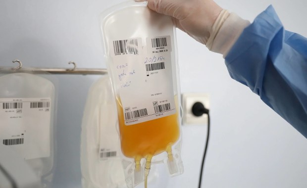 "W tym trudnym czasie musimy być solidarni". Politycy i muzycy apelują o oddawanie osocza