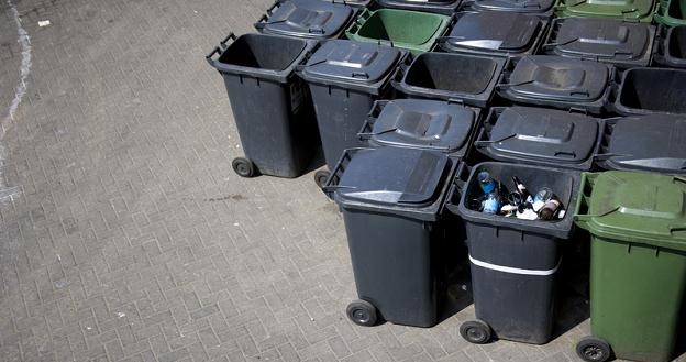 W ubiegłym roku firmy odbierające śmieci zebrały w Polsce ok. 12 mln ton odpadów komunalnych /&copy; Panthermedia