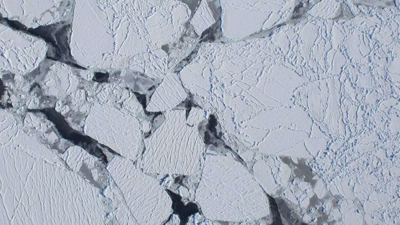 W ubiegłym roku na Antarktydzie zarejestrowano wyjątkowo wysokie temperatury. Na tym jednak nie koniec. Na Południu spadło też zaskakująco dużo śniegu /materiały prasowe