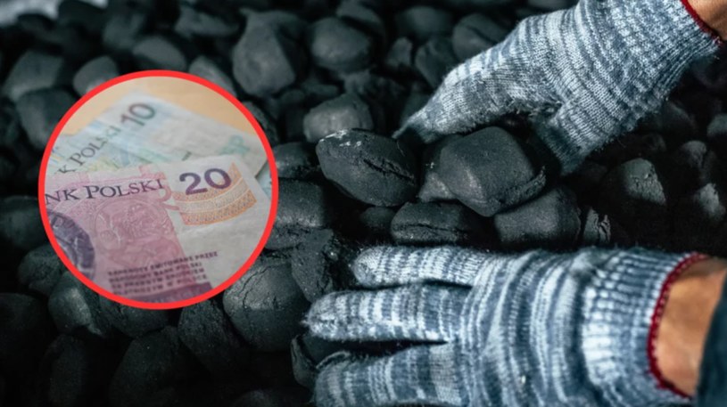 W ubiegłym roku za opał na całą zimę trzeba było zapłacić kilka tysięcy złotych. Jak będzie w tym roku? /Pixel