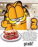 W USA Garfield, a w Polsce Kayah /