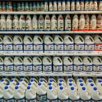 W USA mleko zniknie z półek? Wykryto w nim wirusa ptasiej grypy