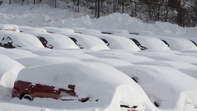 W USA mróz, w Europie wiosna, czyli pogodowe figle