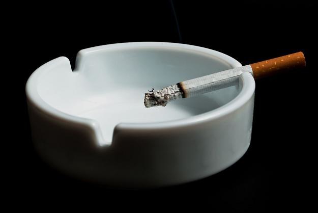 W USA nastąpi ograniczenie lub zakaz papierosów mentolowych? /&copy;123RF/PICSEL