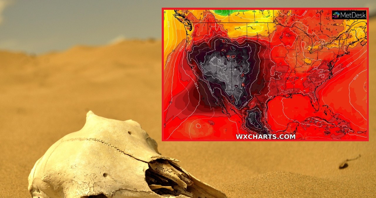 W USA obowiązują alerty dotyczące wysokich temperatur. Jednak również burze są niebezpieczne i powodują śmierć zwierząt /Pixabay/wxcharts /