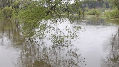 W Warcie odnaleziono ciało 29-latka, który zbiegł policji