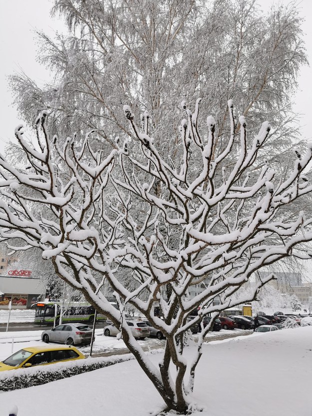 W warmińsko-mazurskiem ostatniej doby spadło nawet 10 centymetrów śniegu. /Piotr Bułakowski /RMF FM