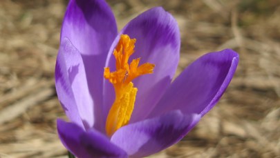 W weekend zmiana pogody. I to na plus 