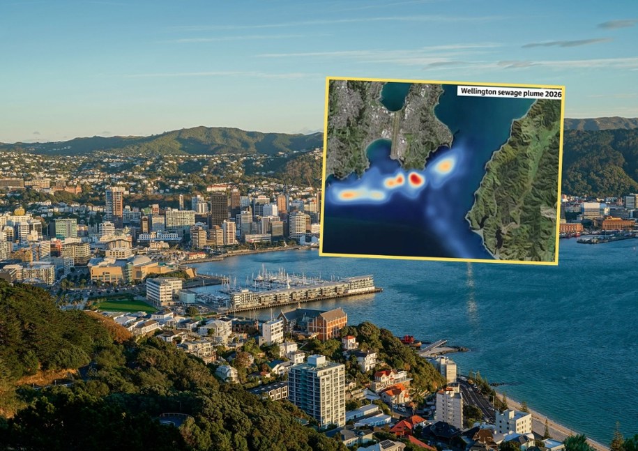 W Wellington mieszkańcy walczą ze skutkami katastrofy ekologicznej /Shutterstock