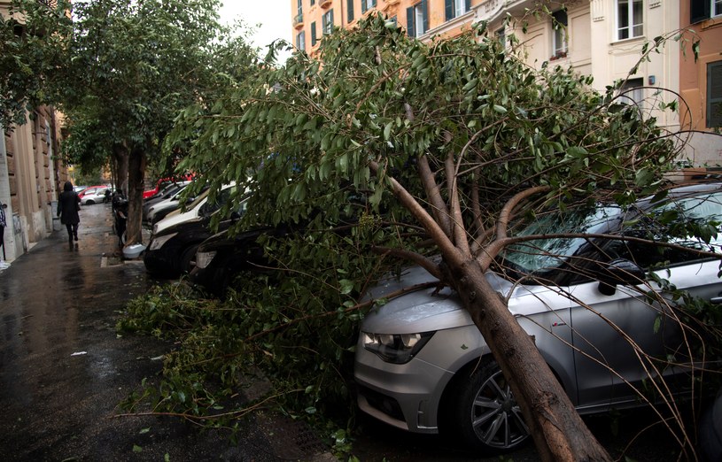 W Wiecznym Mieście trwa usuwanie skutków huraganowych wiatrów, które przewróciły i uszkodziły wiele drzew /AFP