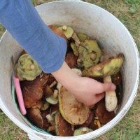 Grzybobranie w Wielbarku.