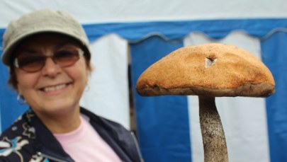 W Wielbarku szukano najcięższego grzyba