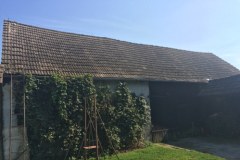 W Wielkopolsce powstaje dom emeryta... dla psów i koni, które pracowały w policji i innych służbach