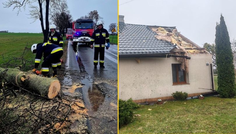 W wielu miejscach w Polsce strażacy usuwają skutki silnego wiatru /Straż Pożarna /Państwowa Straż Pożarna