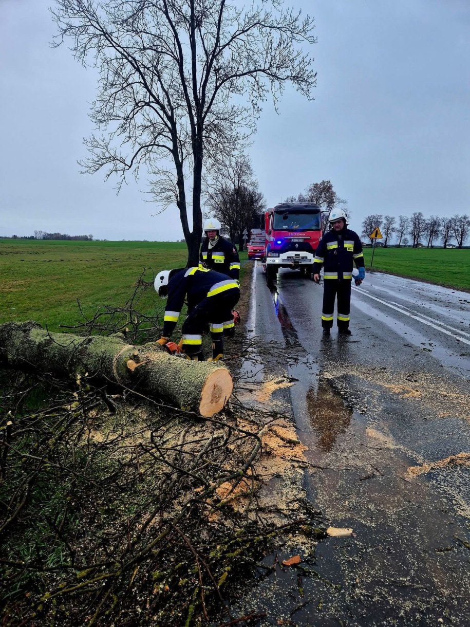 W wielu miejscach w Polsce strażacy zmagają się ze skutkami burz i silnego wiatru /Państwowa Straż Pożarna /Państwowa Straż Pożarna