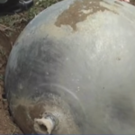 W Wietnamie trzy metalowe kule spadły z nieba