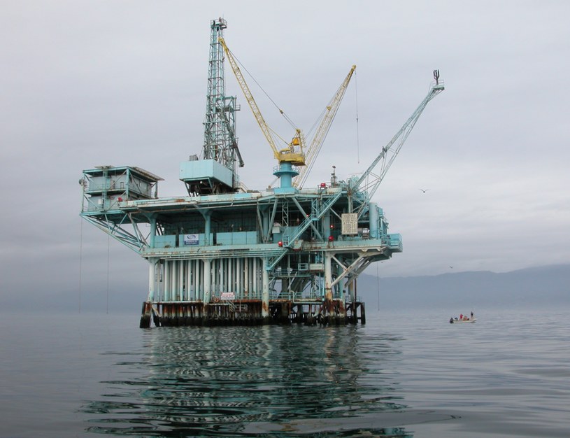 W wyniku wycieku ropy u wybrzeży Kalifornii zginęły setki zwierząt /Wikimedia