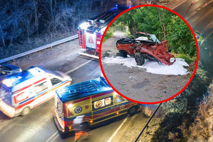 W wypadku na Pomorzu zginął kierowca i dwóch pasażerów /fot. KPP Sztum/Michał Adamowski/Reporter /