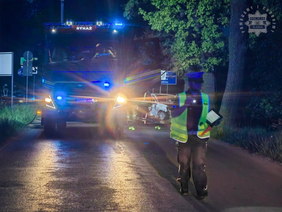 W wypadku zginął mężczyzna /Policja Śląska /