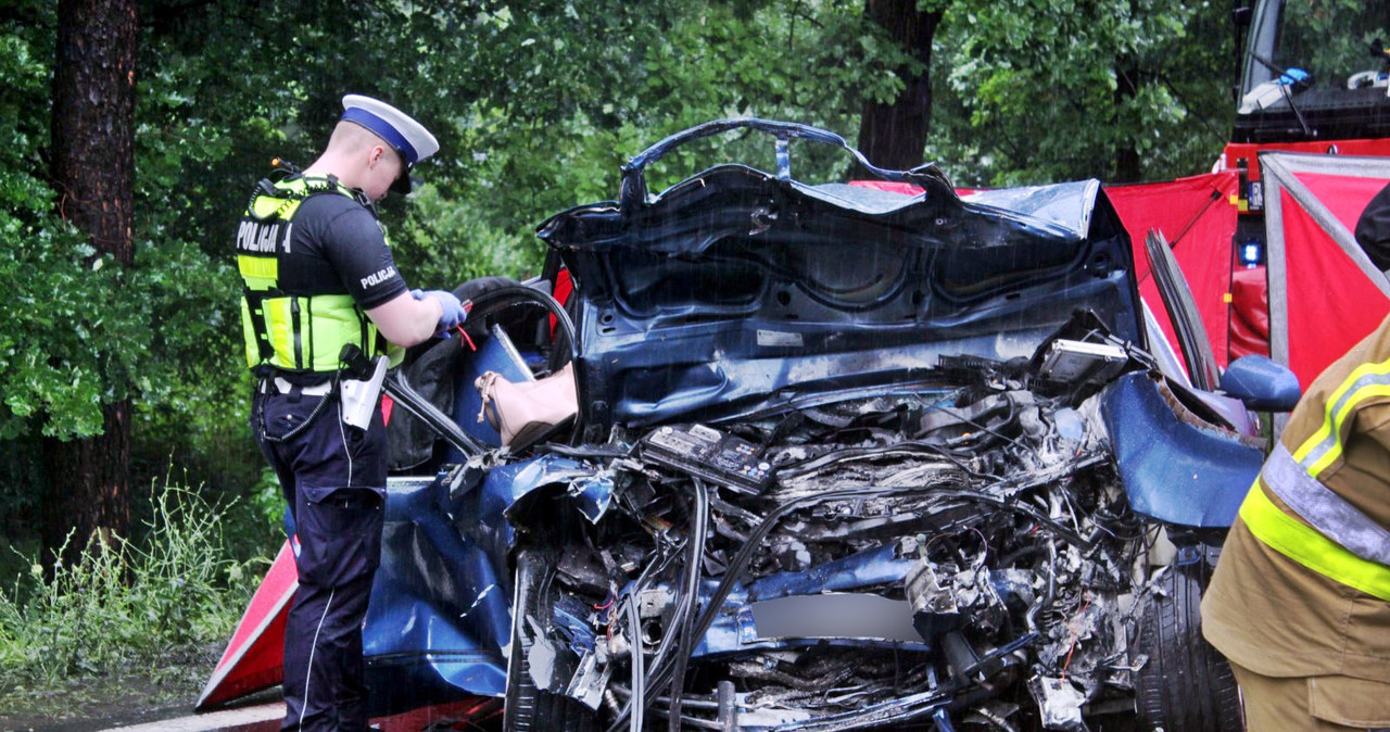 W wypadku zginęli rodzice małego chłopca /Informacja prasowa