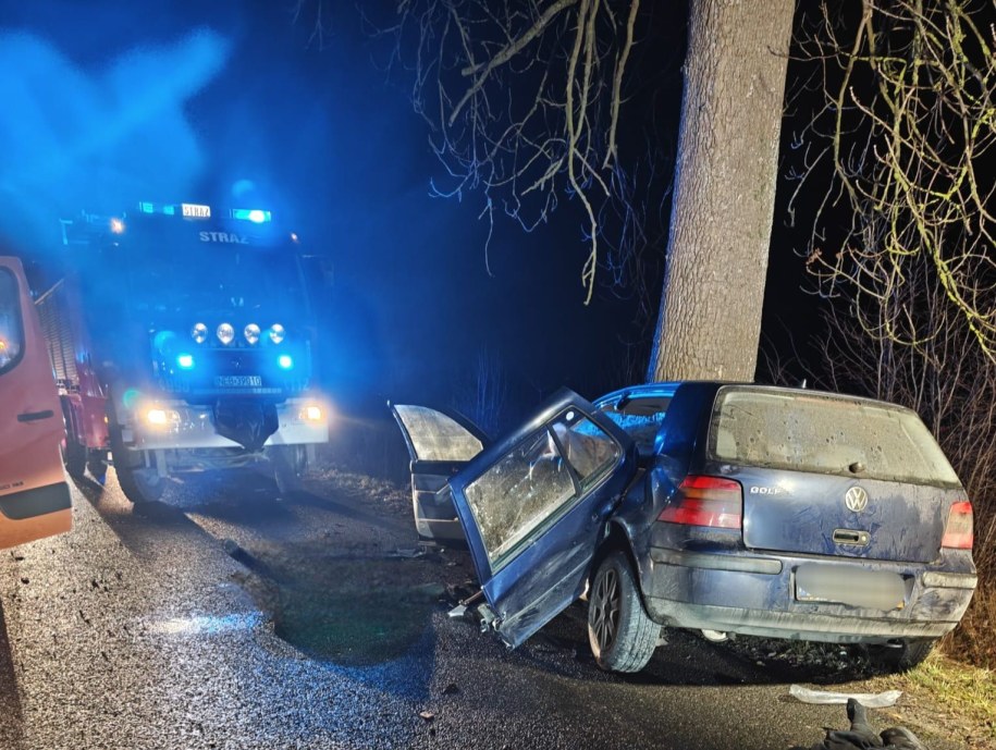W wypadku zginęło dwóch mężczyzn /Komenda Miejska Policji w Elblągu /Policja