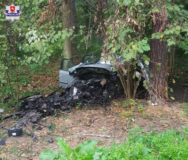 W wypadku zginęło dwóch młodych mężczyzn /KPP Tomaszów Lubelski /Policja