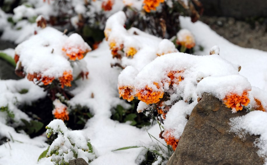 W wyższych partiach Zakopanego, na Gubałówce spadł śnieg / 	Grzegorz Momot    /PAP