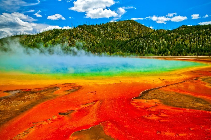 W Yellowstone wyodrębnił się nowy obszar termiczny /123RF/PICSEL