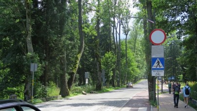 W Zakopanem GPS znów prowadzi na manowce. A turyści "jadą na ślepo"