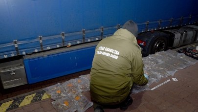 W zbiorniku paliwa próbował przemycić ponad 47 kg bursztynu