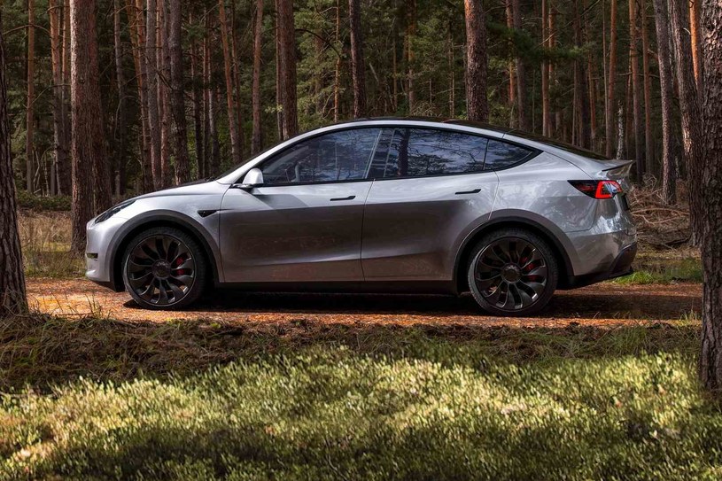 W zestawieniu najchętniej kupowanych samochodów w październiku Tesla Model Y znalazła się daleko poza podium. /materiały prasowe