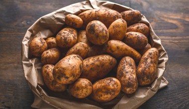 W ziemniakach kryje się źródło protein. To białko ma intrygującą cechę