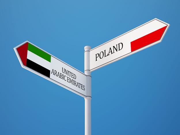 W Zjednoczonych Emiratach Arabskich jest duży popyt na polskie produkty spożywcze /&copy;123RF/PICSEL