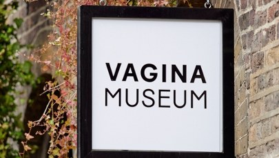 Waginy wciąż do obejrzenia. Pomógł anonimowy darczyńca