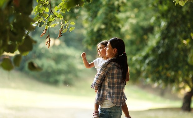 Wakacje na łonie natury? Przyrodnik ostrzega przed toksycznymi roślinami 
