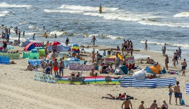 Wakacje nad Bałtykiem wcale nie takie zdrowe? Morze jest siedliskiem toksyn