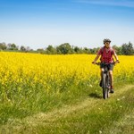 Wakacje rowerowe - najpiękniejsze trasy w Polsce